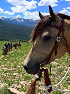 USA-Wyoming-Wind River Wilderness Horse Ranch